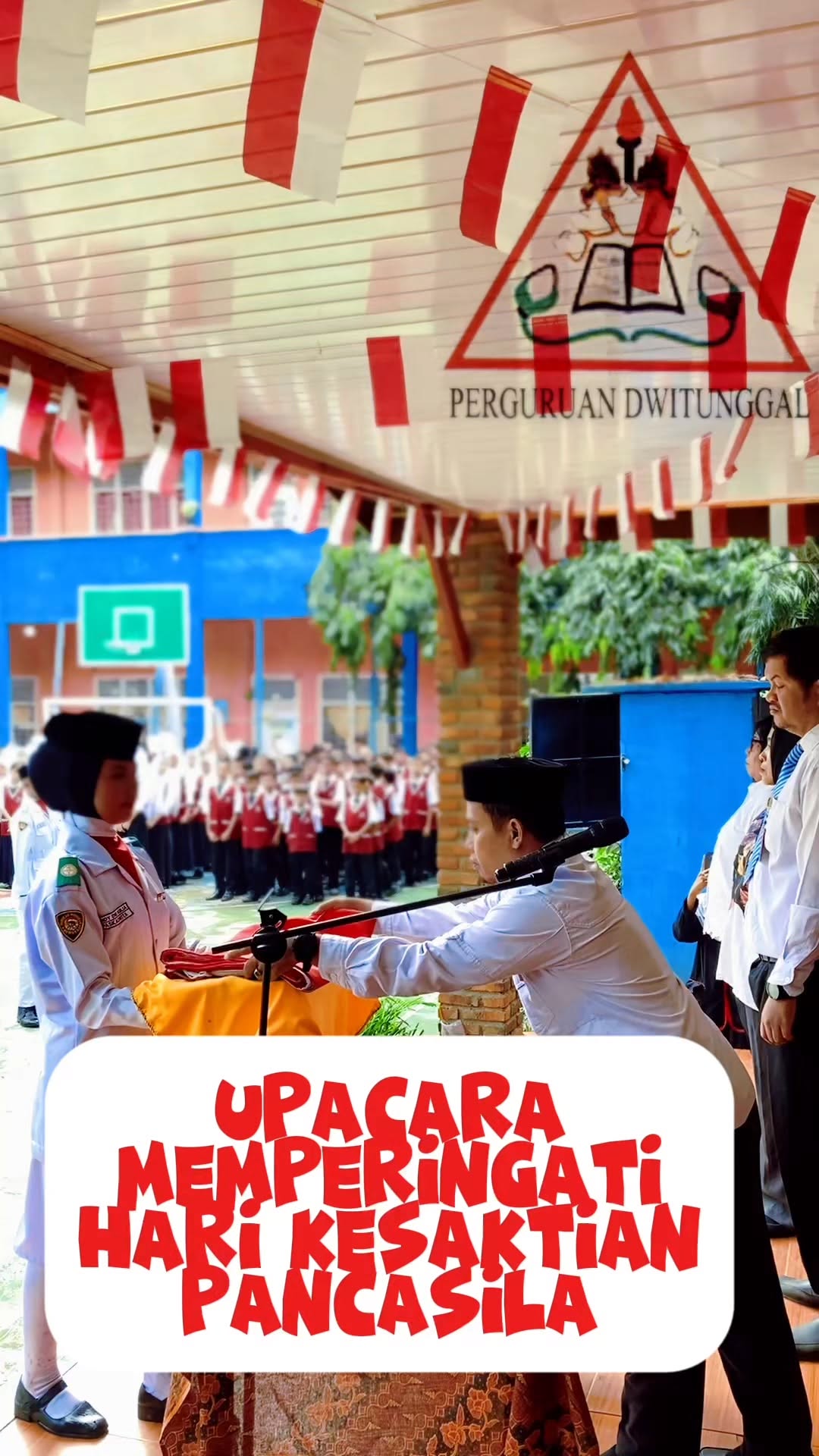 Pengumuman