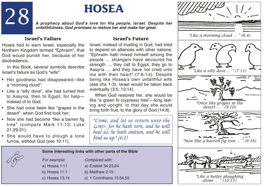 About Hosea