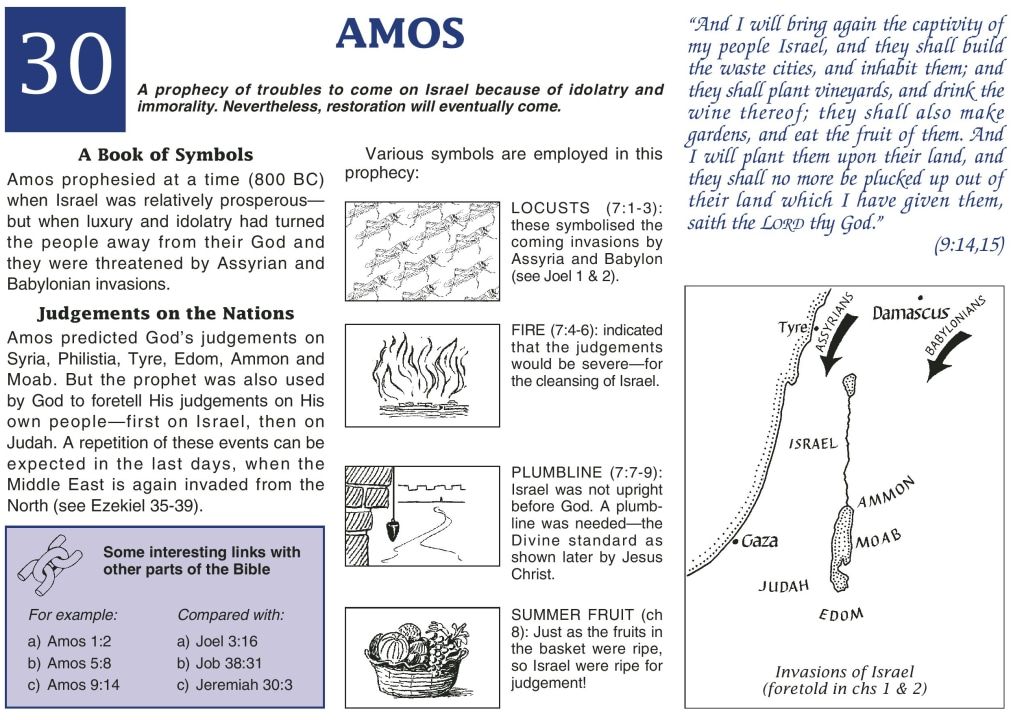 About Amos