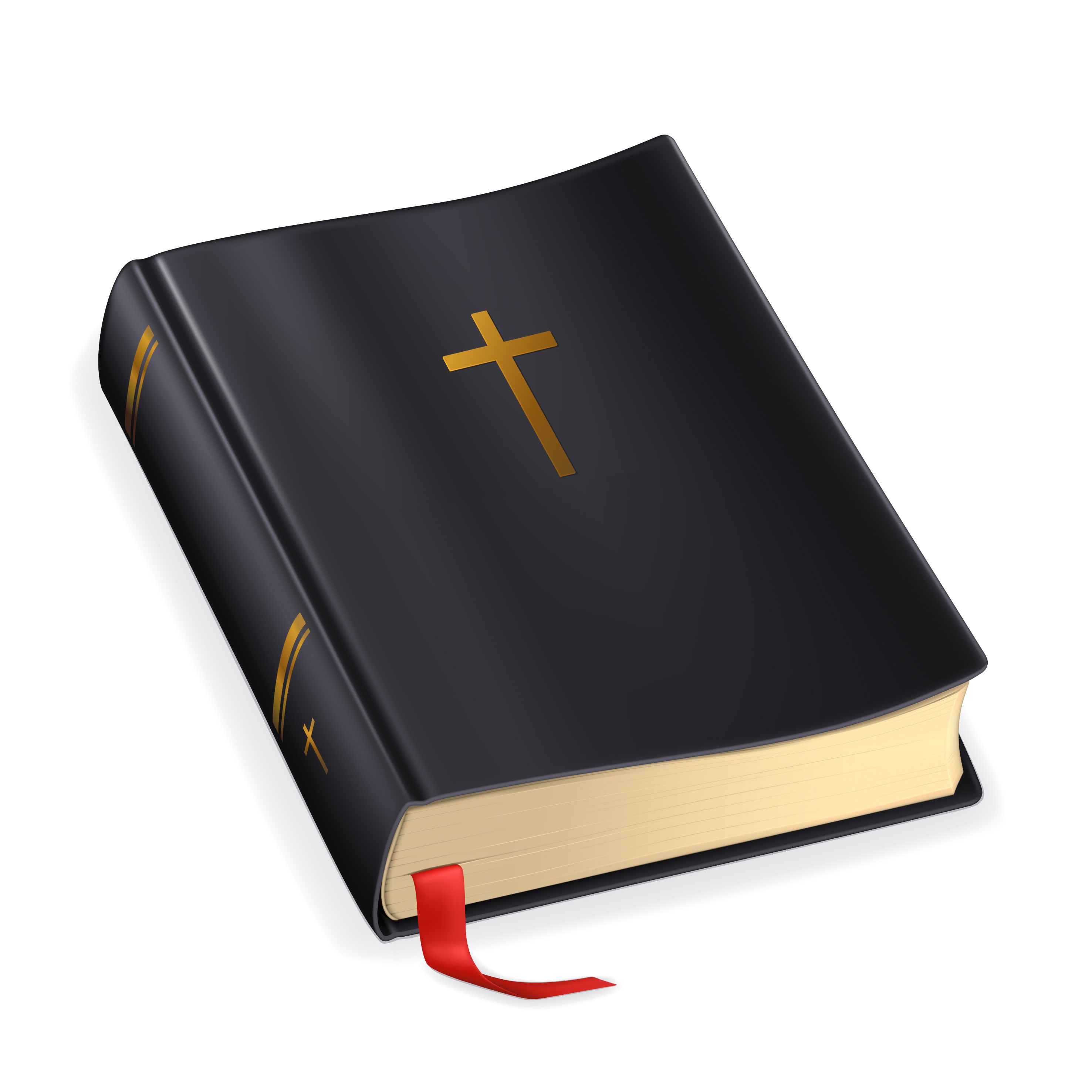 Book cover for A Bird's-Eye View of the Bible / Second Edition