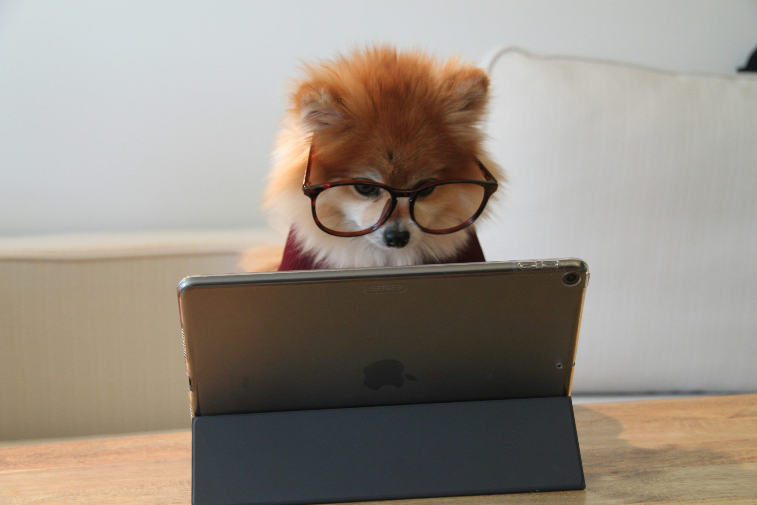 Using the Internet to Improve Your Language Skills