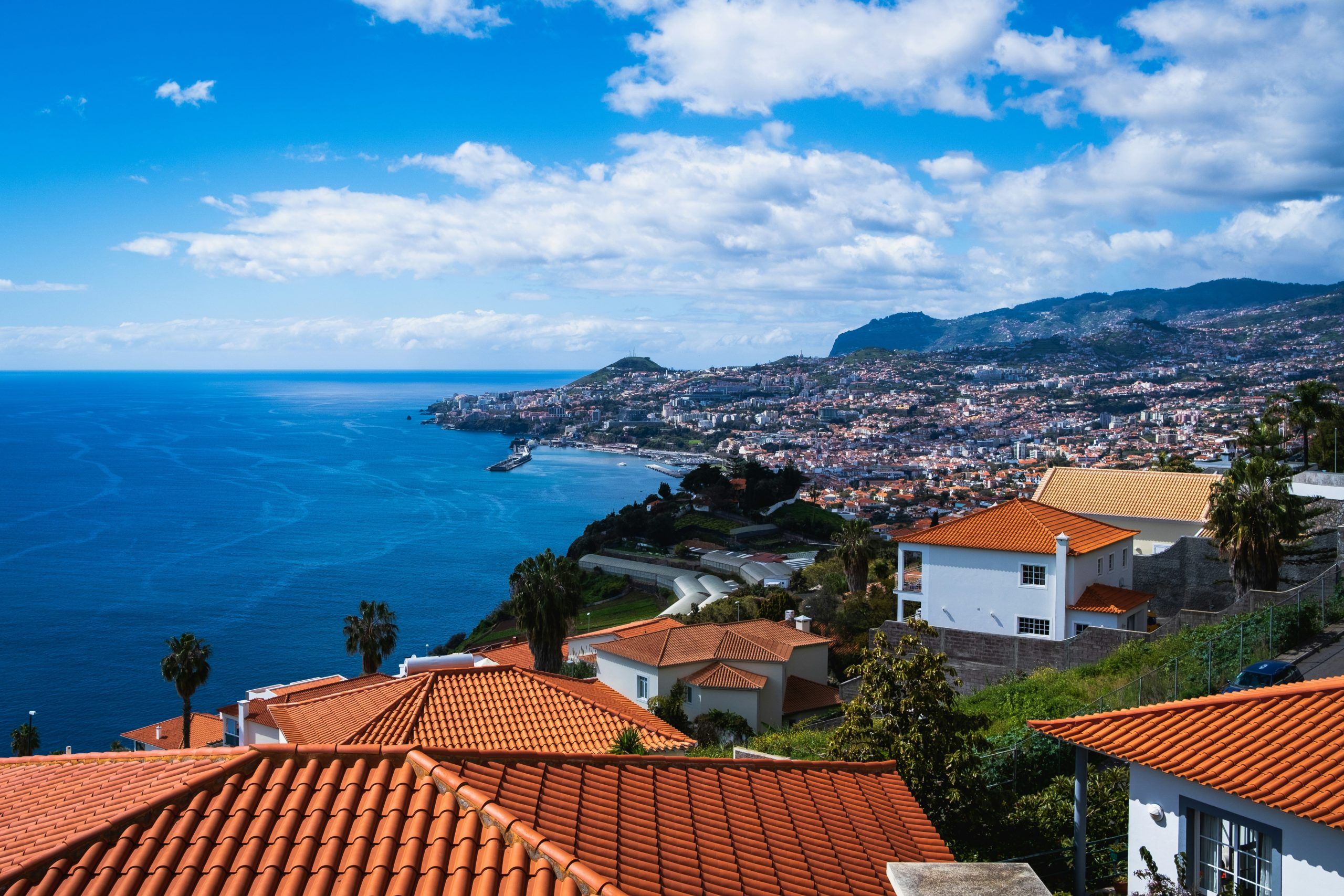 Language, Translation, and the Essence of Madeira