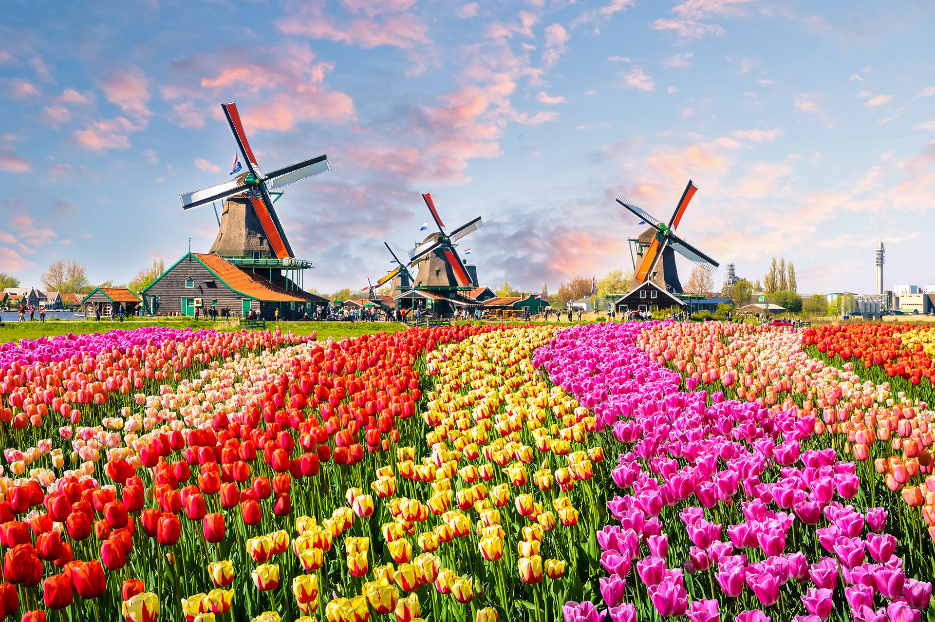 Business ​Passport to: The Netherlands – Why Translate Your Company’s Material Into Dutch?