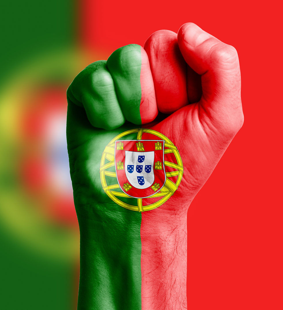 Portuguese Language Translation