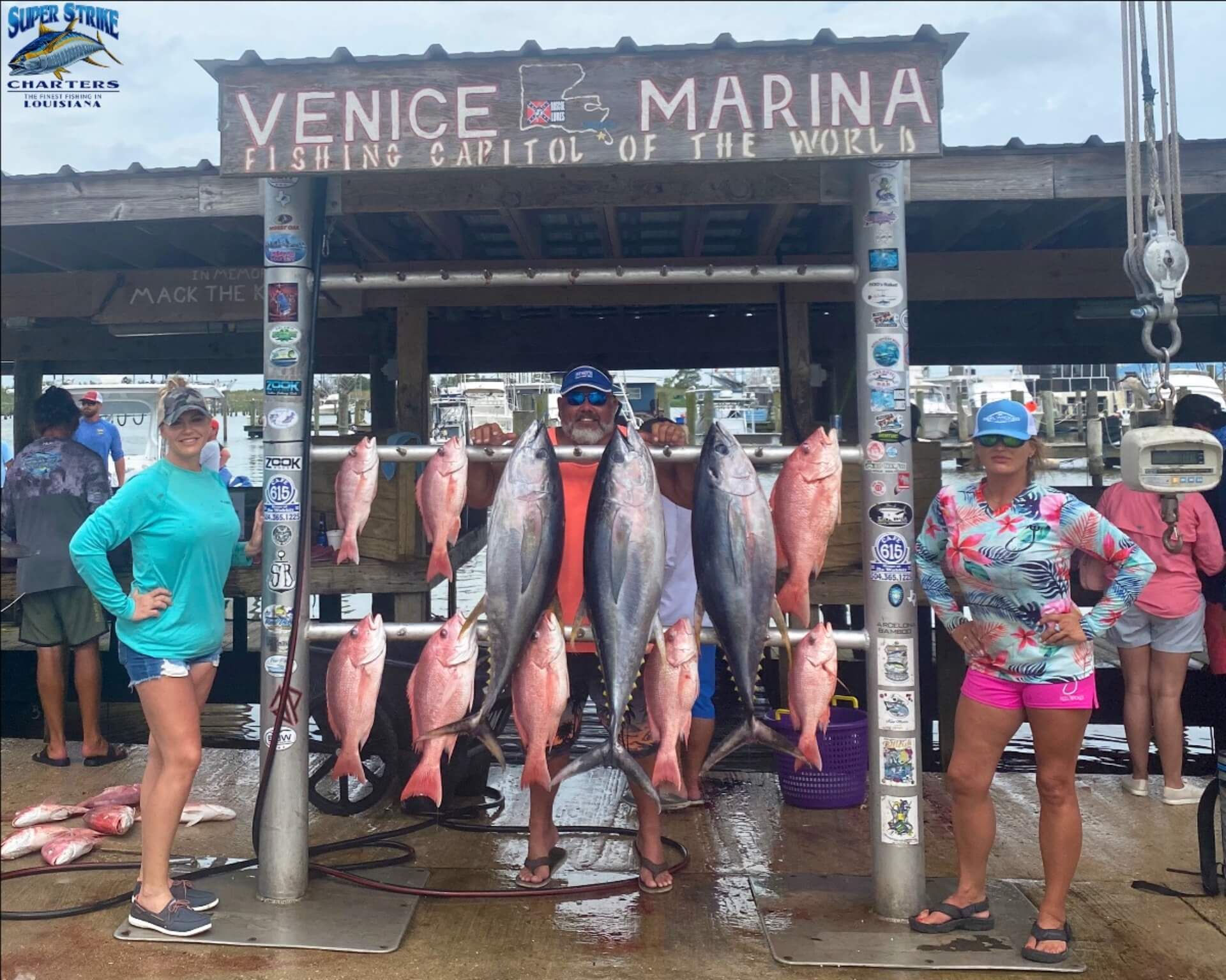 Large catch of red snapper and yellowfin tuna in venice, la