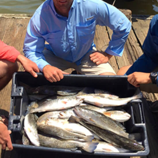 Speckled Trout caught on backwater fishing or inshore fishing charter