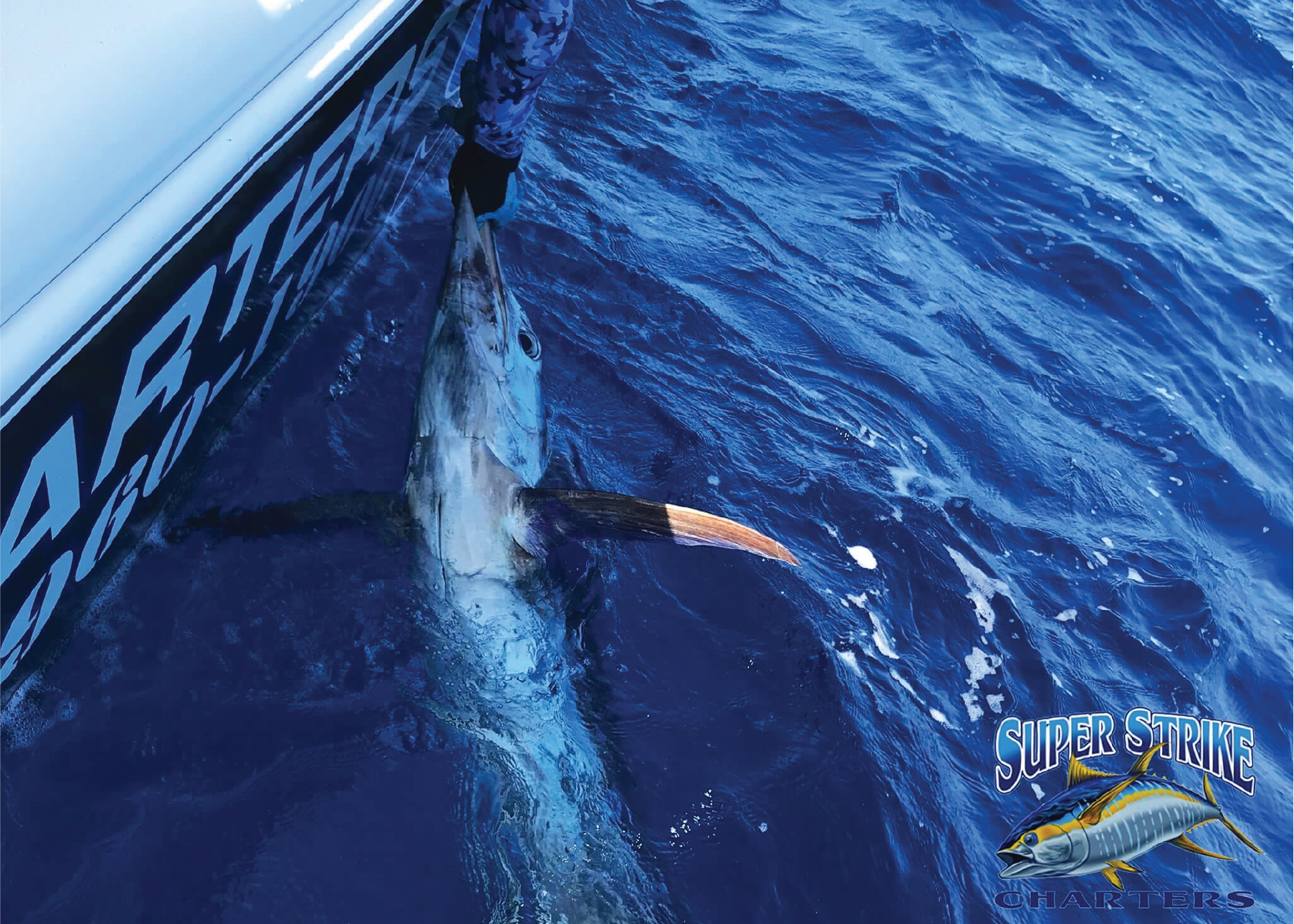 Blue Marlin off Miami - Double Threat Charters