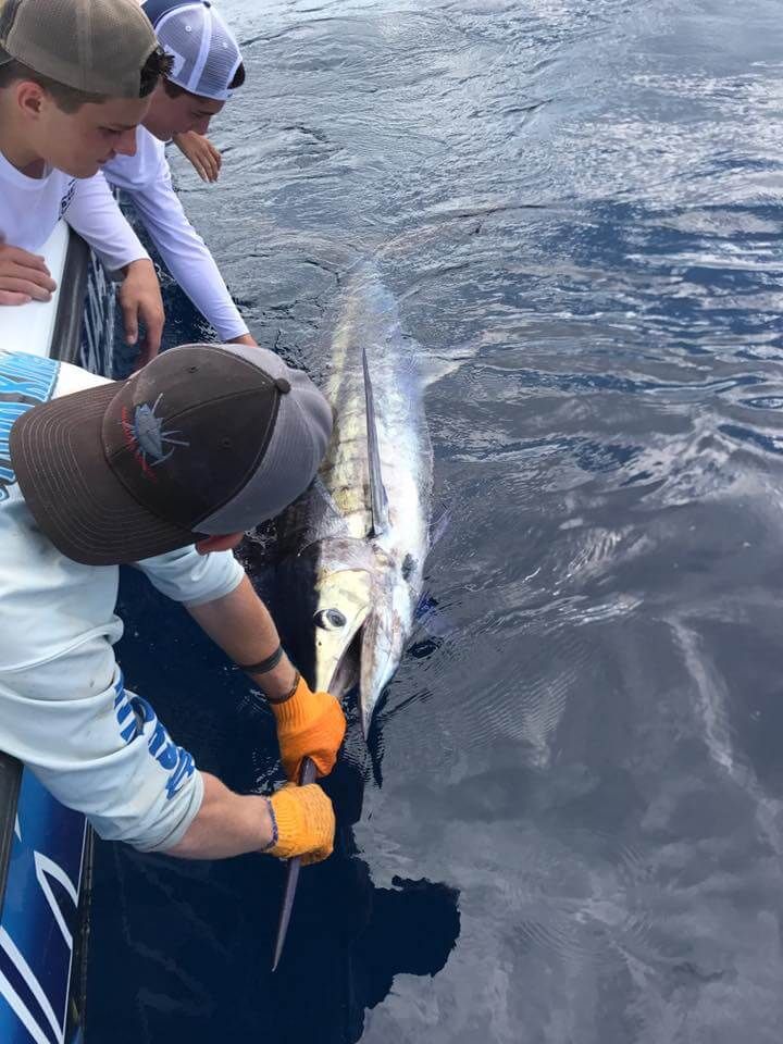 Blue marlin fishing trip