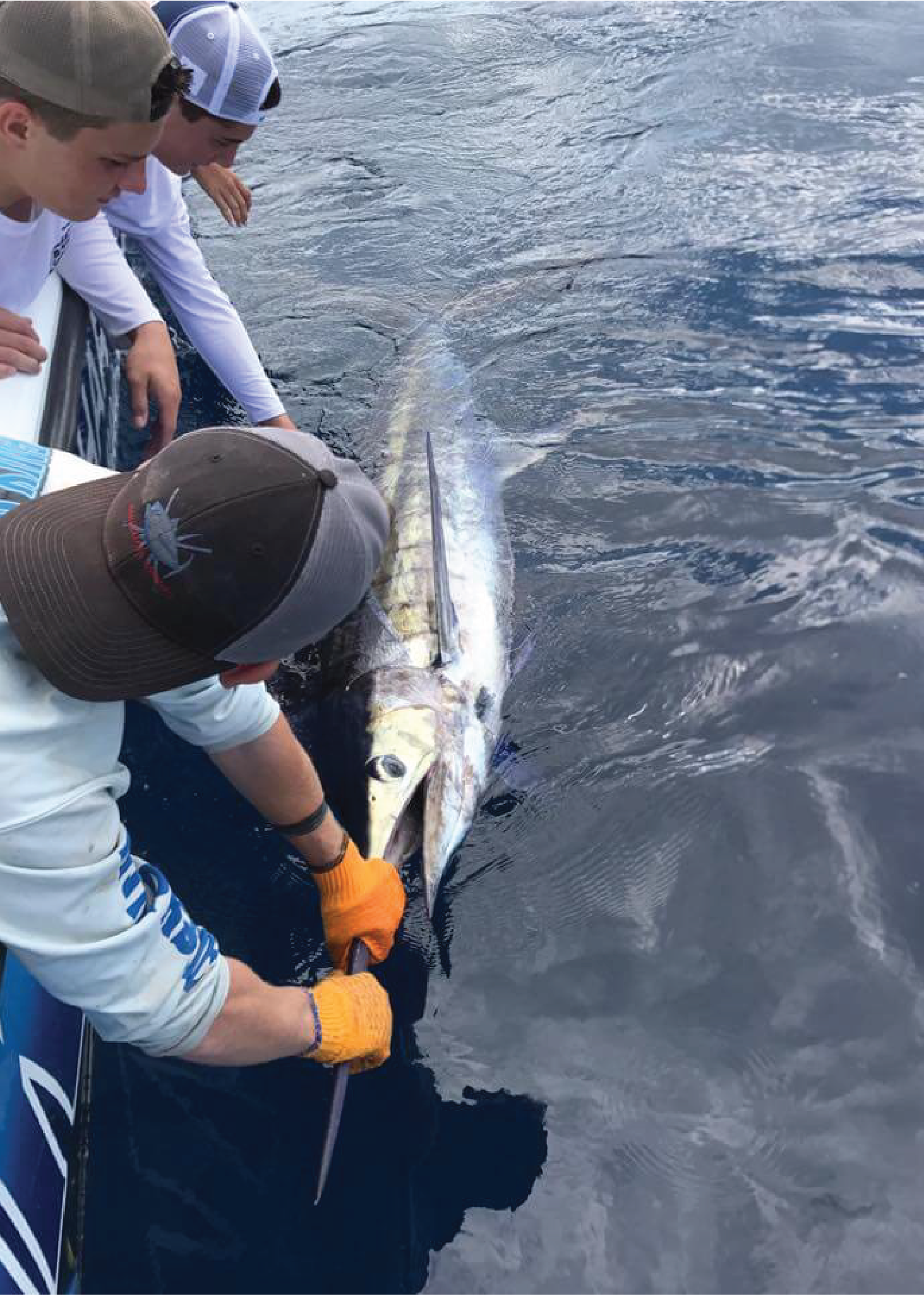 Blue Marlin fishing deep sea fishing charter in Venice, Louisiana