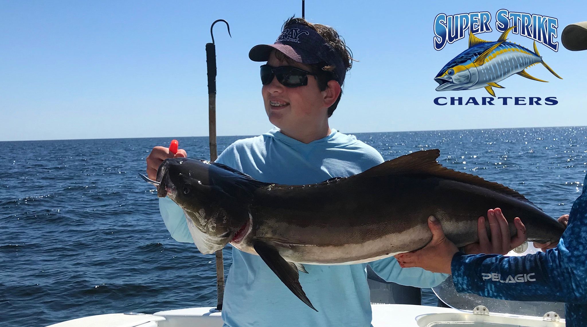 Cobia caught on fishing charter in Venice, Louisiana