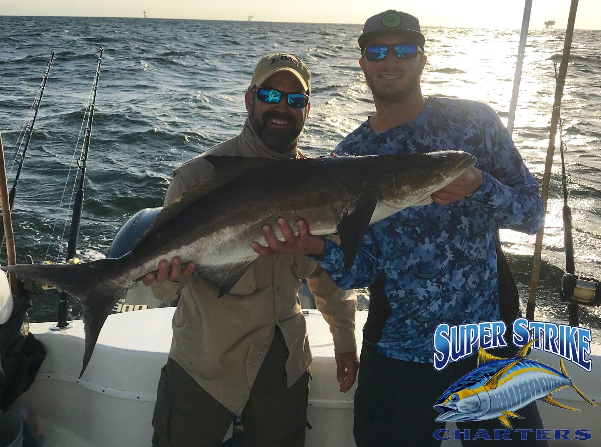 Cobia caught on fishing charter in Venice, Louisiana