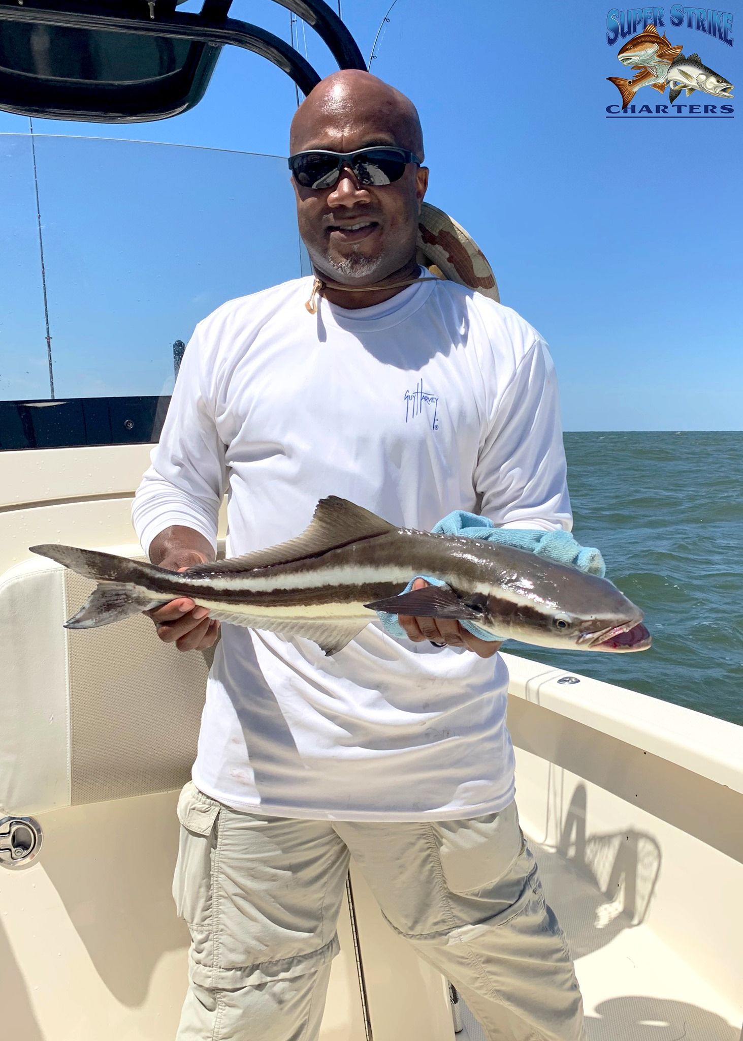 Cobia fishing charter