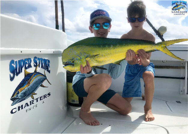 Mahi-Mahi, Dolphin fish, Dorado caught on fishing charter in Venice, Louisiana