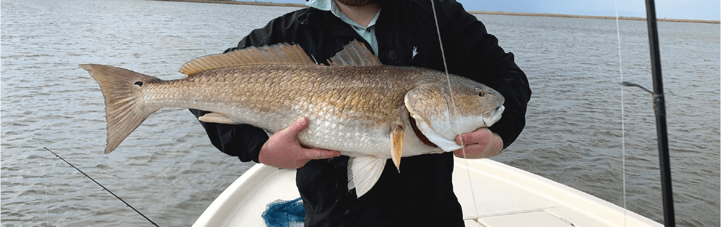 Redfish fishing charters in Venice, Louisiana