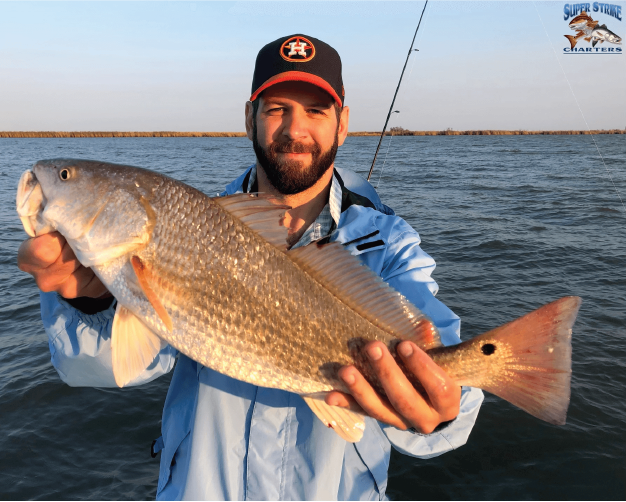 charter-fishing-tip-redfish-2_990.png