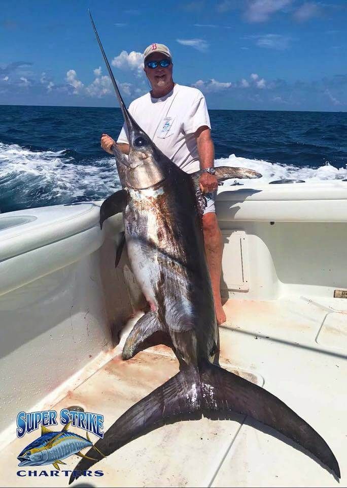 Venice, Louisiana swordfish charter