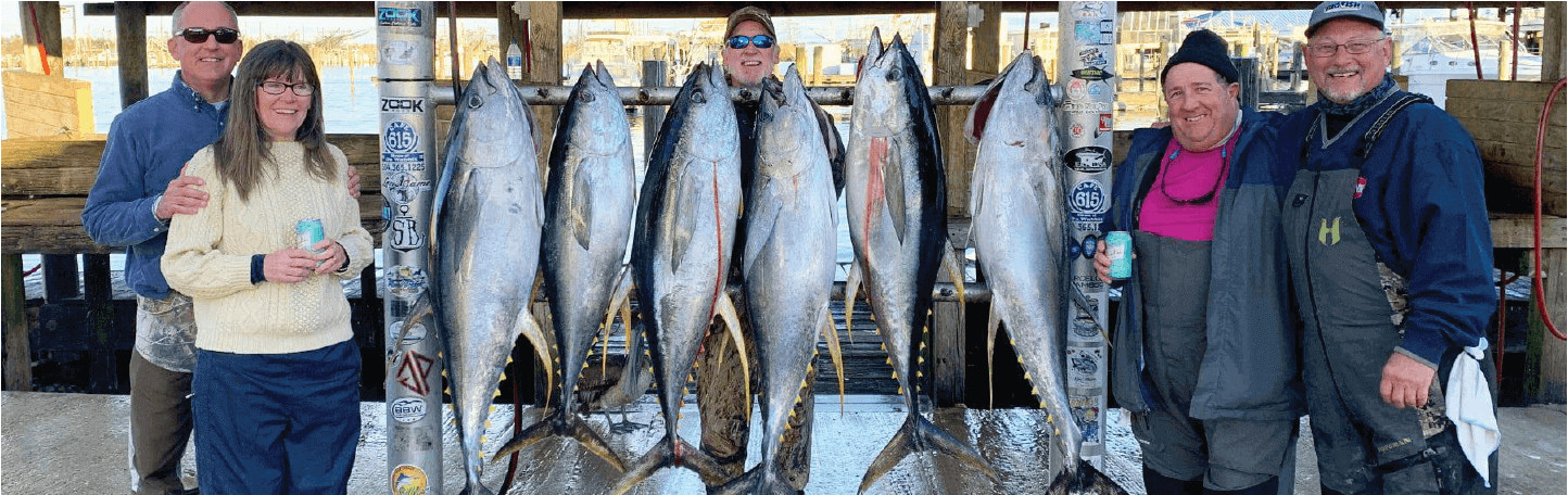 Yellowfin Tuna fishing charters in Venice, Louisiana