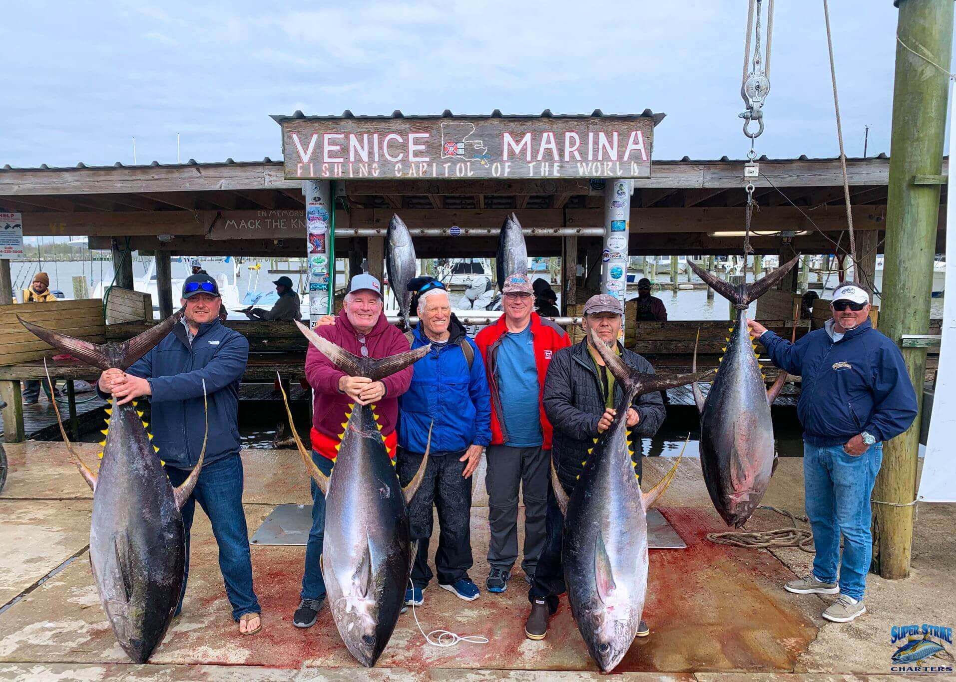 Yellowfin Tuna Charter 2024