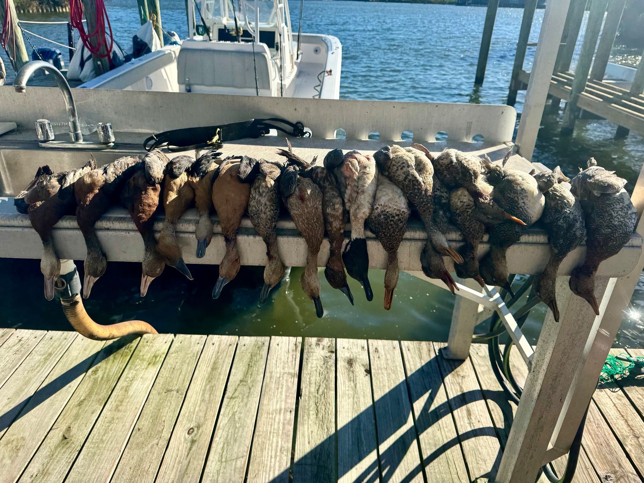 December Fishing with Super Strike Charters