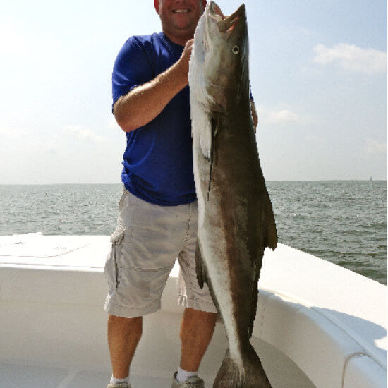 Cobia caught on deep sea fishing charter in Venice, LA