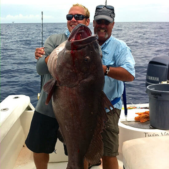 Grouper caught on deep sea fishing charter