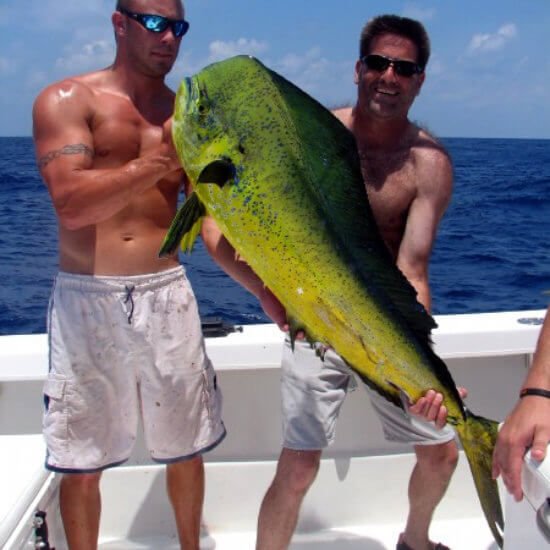 Catch Mahi-Mahi in Venice, LA