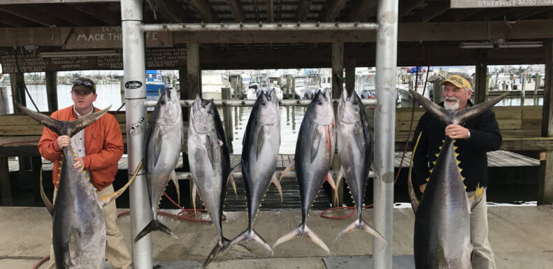 Deep Sea and Inshore Fishing Charters in Venice, Louisiana 2024