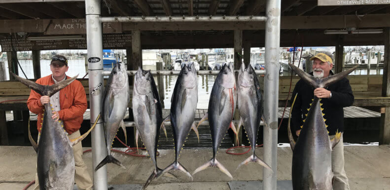 World Renowned Fishing in Venice, LA