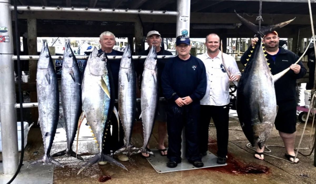 Superstrike Charters