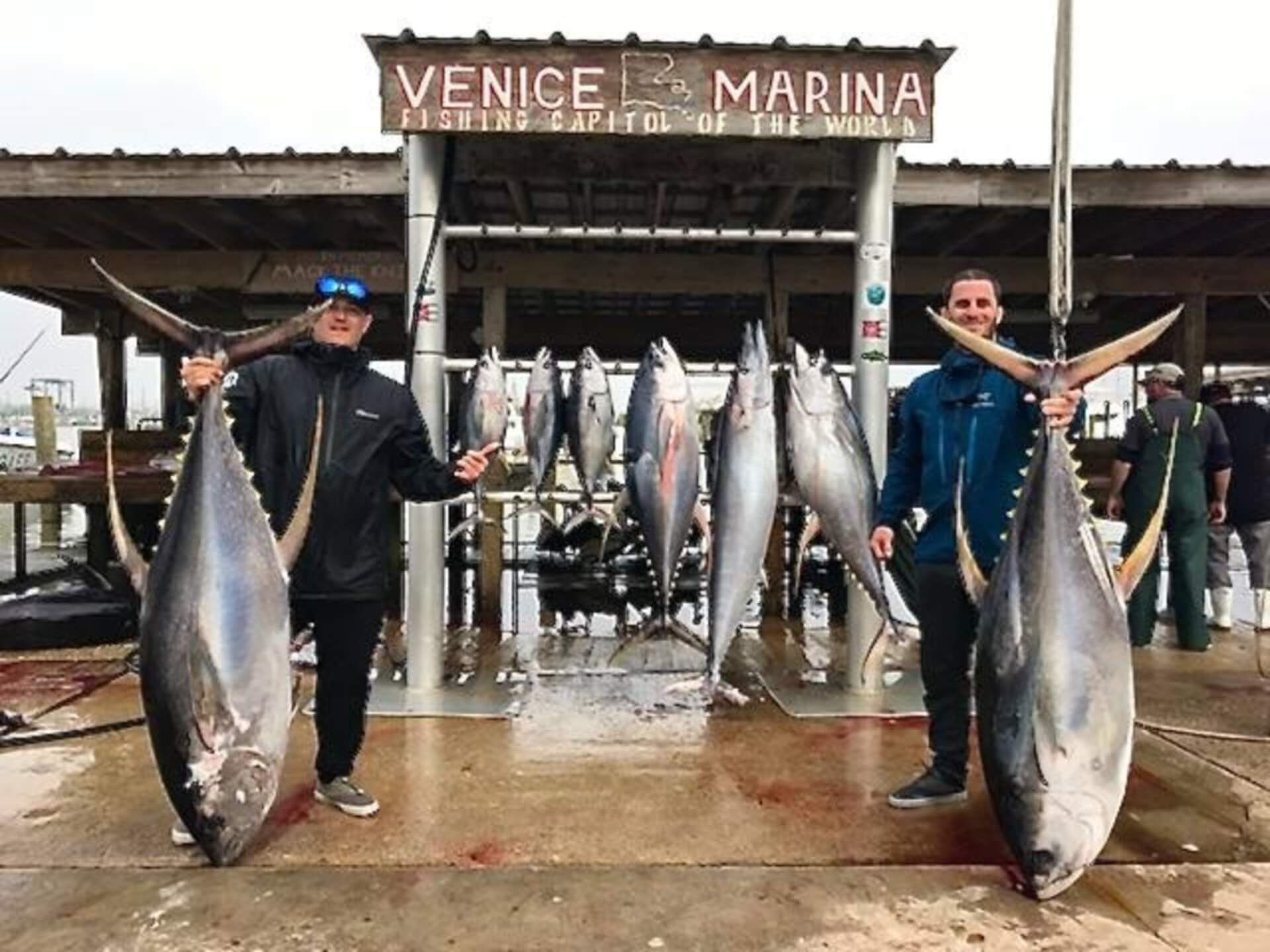 Kite Fishing Offshore Venice La in the Gulf - Deep Sea Charter