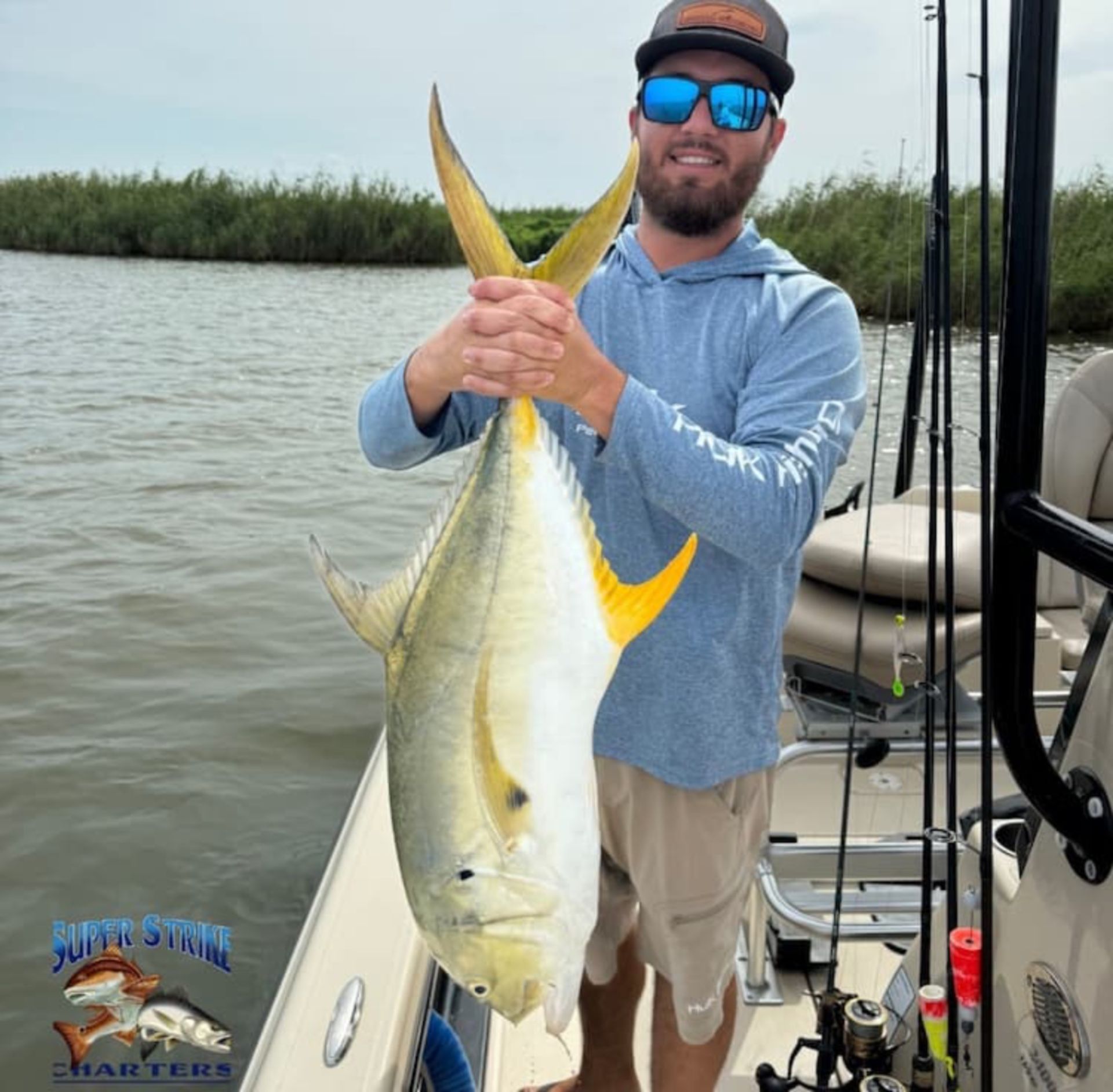 jackcrevalle1.jpg