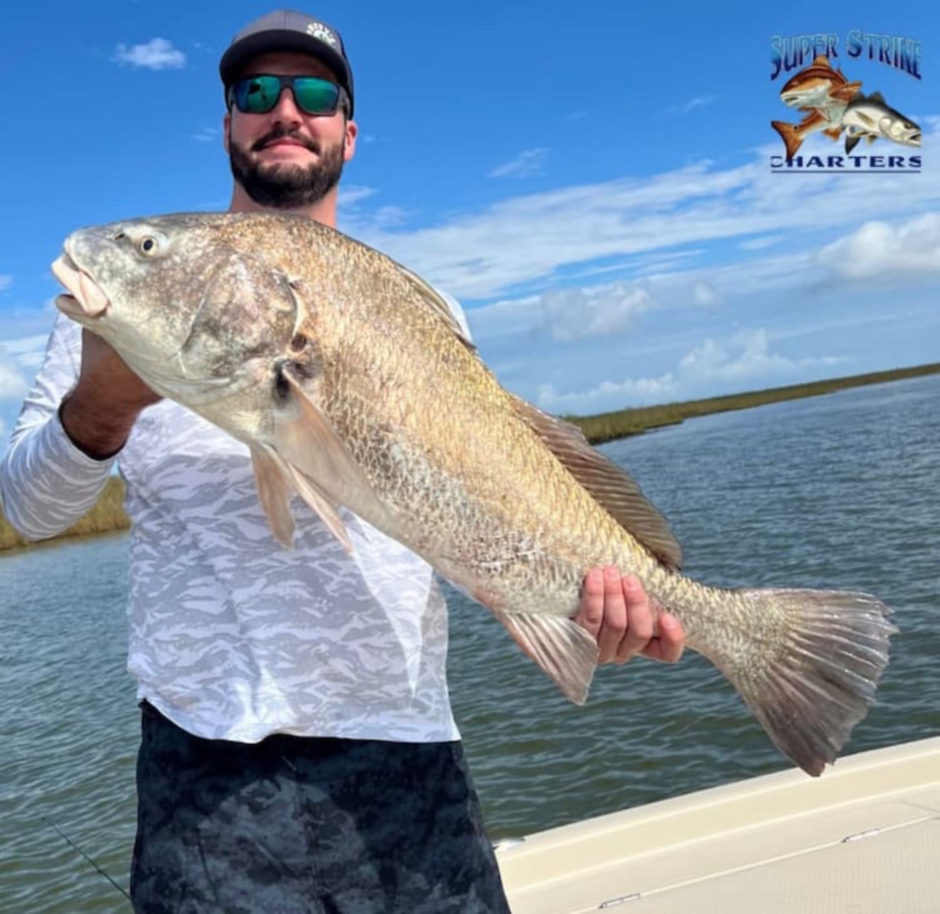 large-inshore-fish.jpg