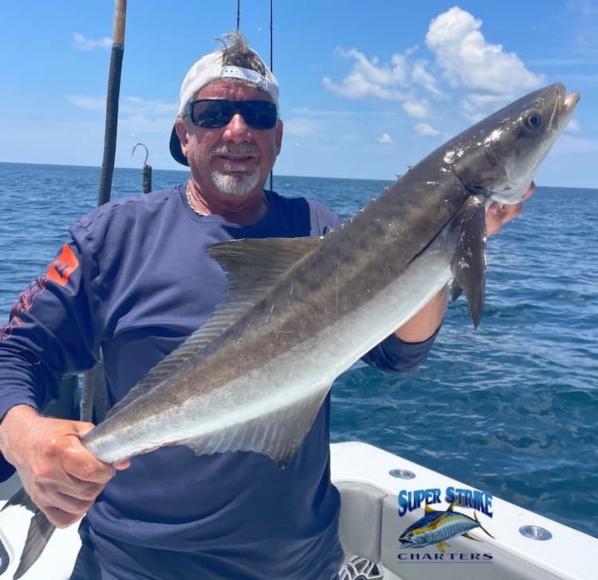 long cobia