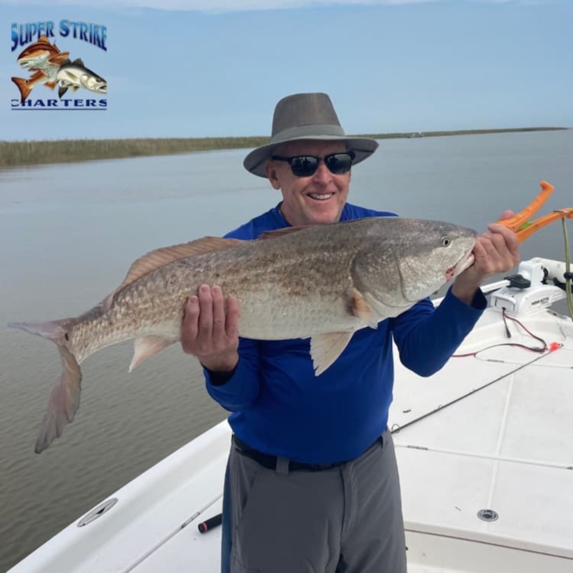 louisiana-bullred.jpg