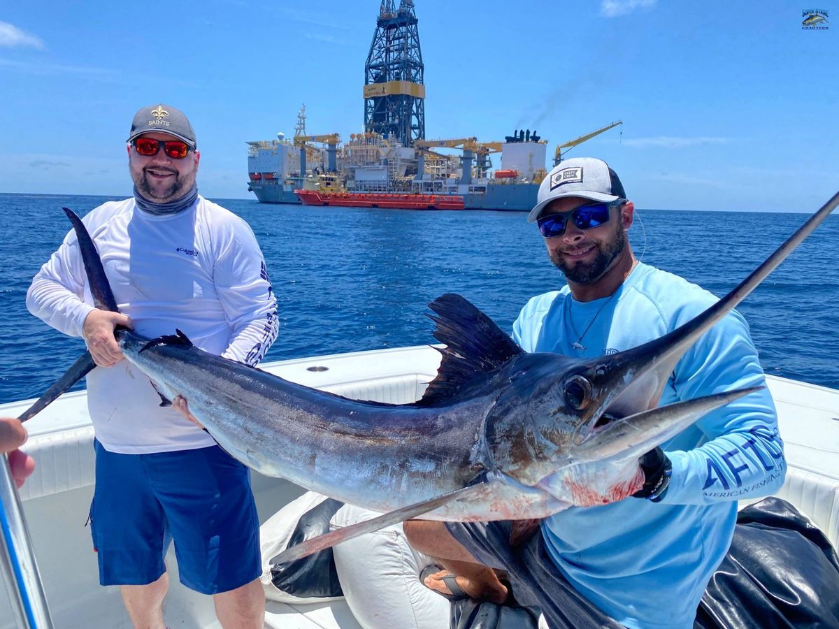 Find Blue Marlins deep sea fishing in Venice, LA