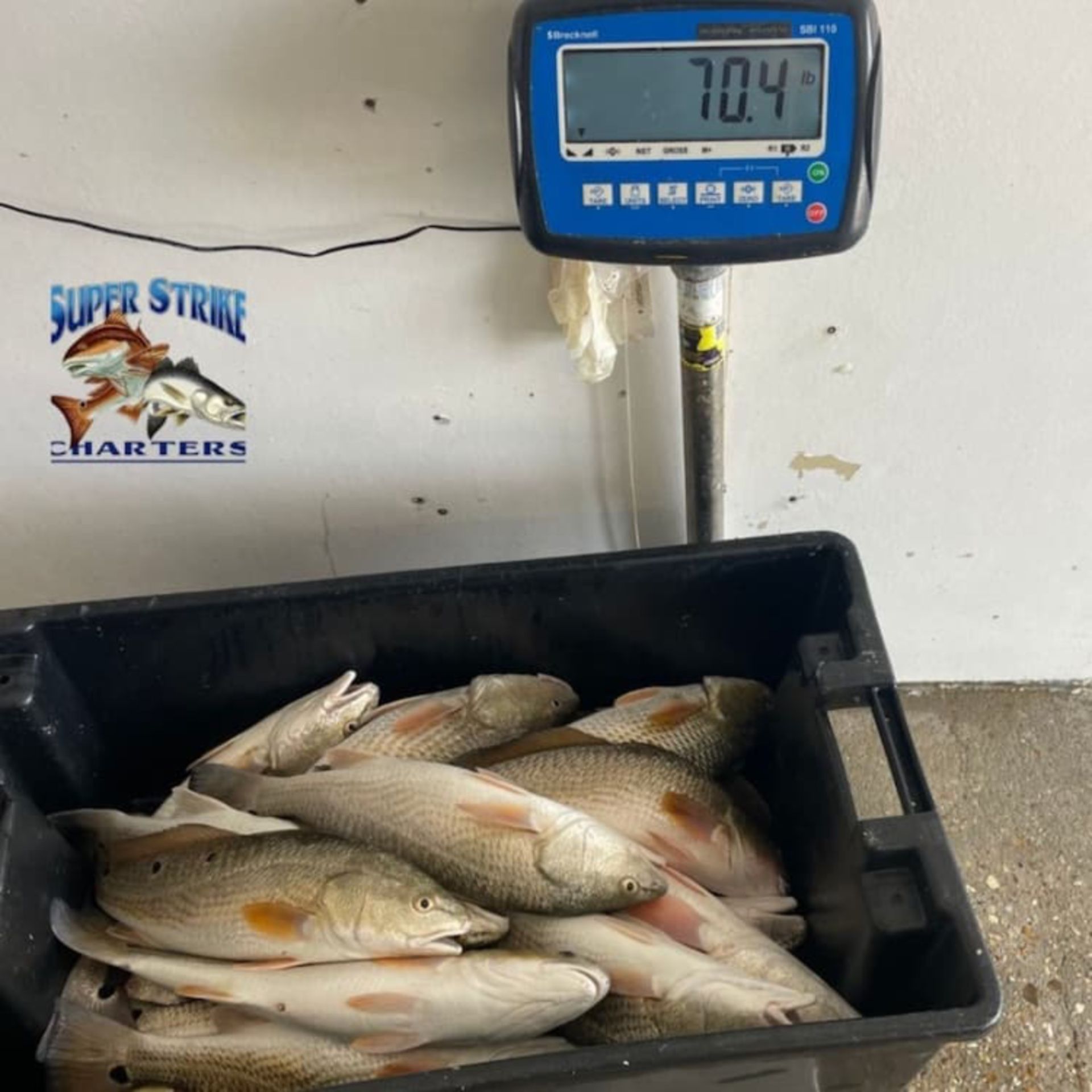steele-inshore.jpg