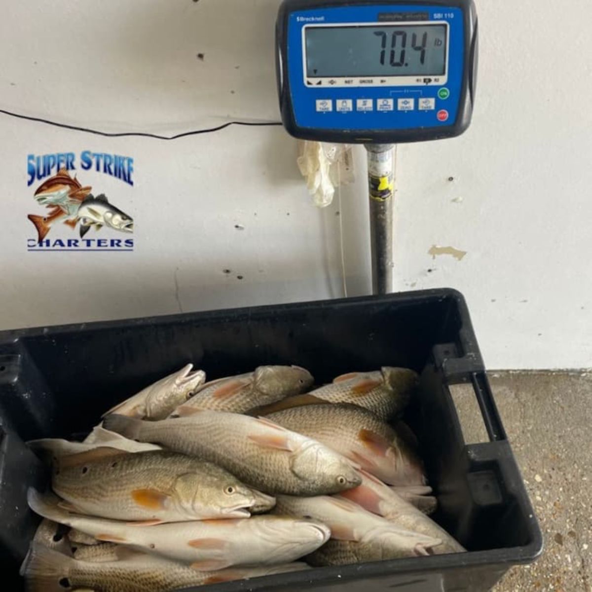 steele-inshore.jpg