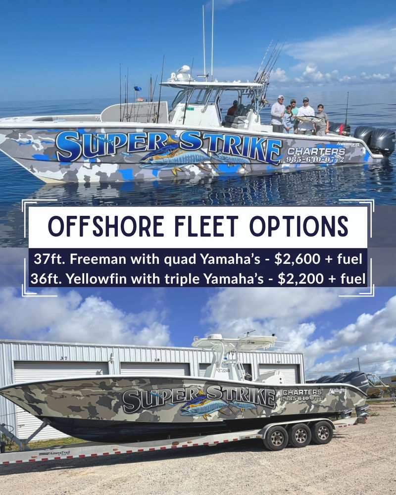 36ft Yellowfin and 37ft Freeman - deep sea fishing venice la fleet options
