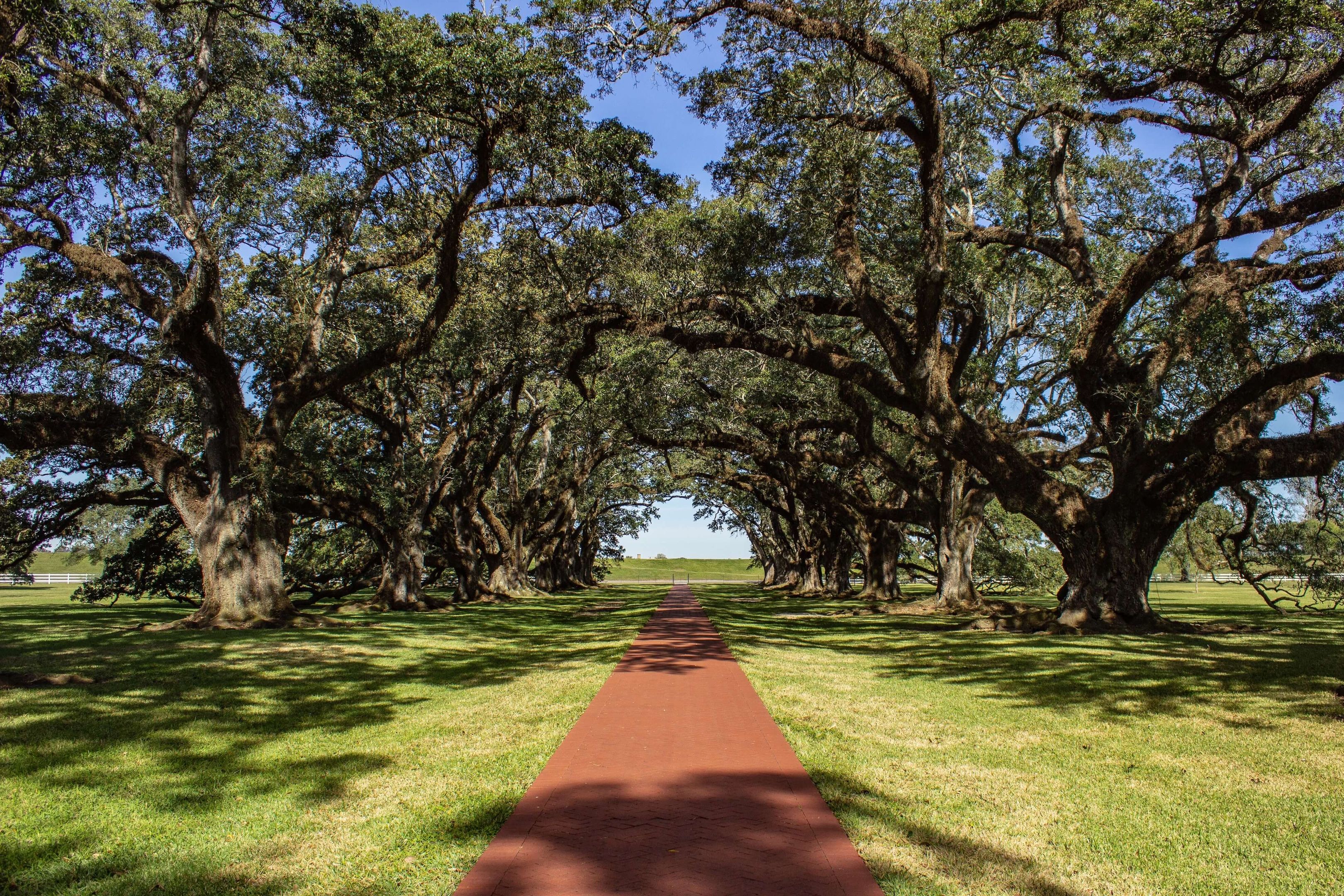 What to do in Venice, Louisiana in 2024