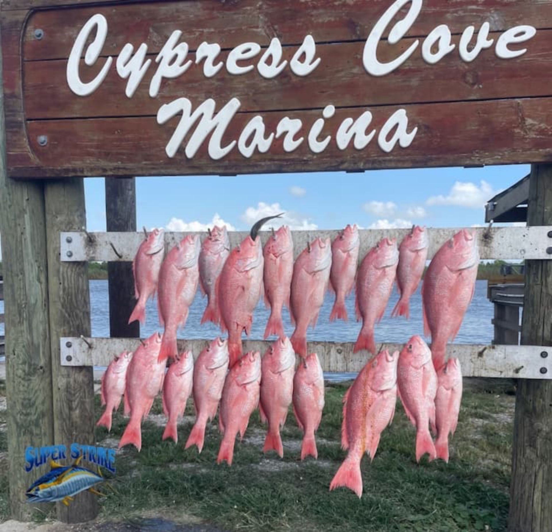 wall-of-red-snapper.jpg