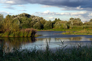 File:Wetland Centre Lagoon.jpg File:Wetland Centre Lagoon.jpg