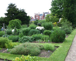 File:Chelsea physic garden.jpg File:Chelsea physic garden.jpg