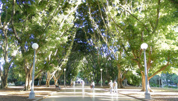 File:The worlds best Hyde park Sydney.jpg File:The worlds best Hyde park Sydney.jpg