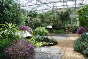 File:Interieur des serres tropicales - CBN de Brest.jpg File:Interieur des serres tropicales - CBN de Brest.jpg
