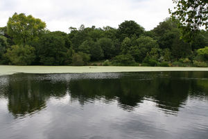 File:Hampstead Ponds (171329664).jpg File:Hampstead Ponds (171329664).jpg