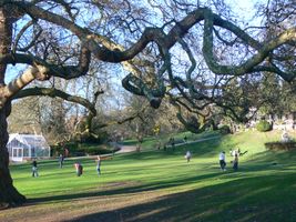 File:Terrace Gardens.jpg File:Terrace Gardens.jpg