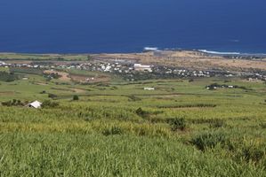 File:Réunion Saint-Leu Stella&PointeAuSel.jpg File:Réunion Saint-Leu Stella&PointeAuSel.jpg