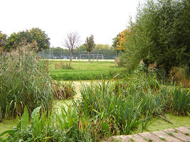 File:Haggerston park 1.jpg File:Haggerston park 1.jpg