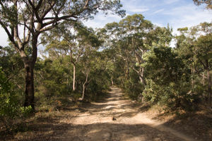 File:Royal National Park - panoramio (26).jpg File:Royal National Park - panoramio (26).jpg