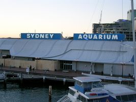 File:Sydney Aquarium.jpg File:Sydney Aquarium.jpg